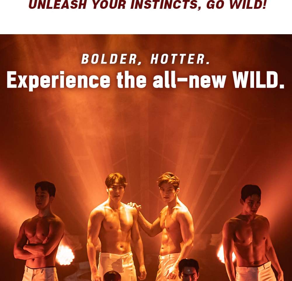 Biglietto per il musical Wild Wild After Party a Seoul